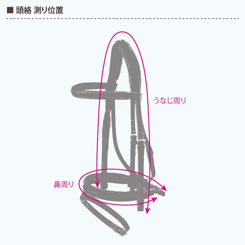 Primal�ʥץ饤�ޥ�� ����Ƭ��