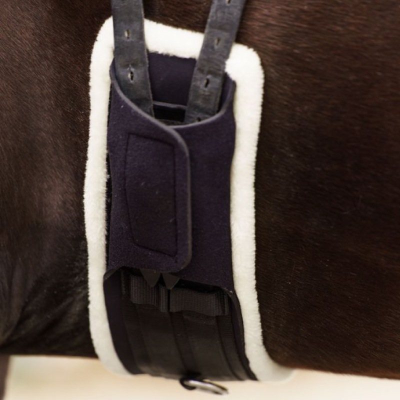 IMPERIAL RIDING�ʥ���ڥꥢ��饤�ǥ��󥰡� ����ե�����ʢ��