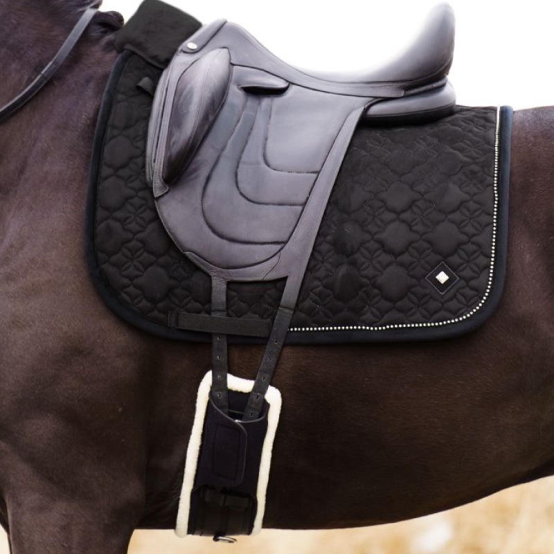 IMPERIAL RIDING�ʥ���ڥꥢ��饤�ǥ��󥰡� ����ե�����ʢ��