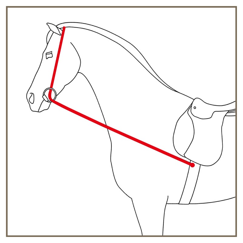 �ͥå����ȥ�å�