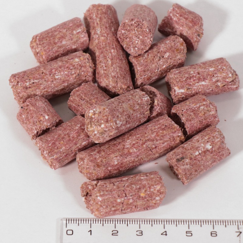 Leovet�ʥ쥪�٥åȡ� �ꥪ�٥ƥ����� �� 