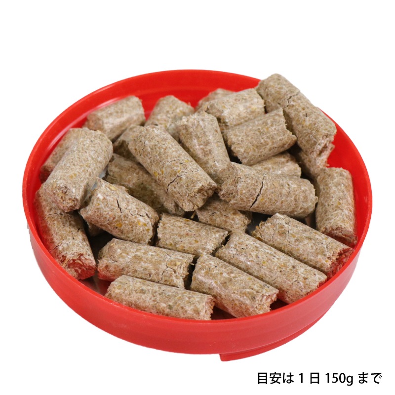 Leovet�ʥ쥪�٥åȡ� �ꥪ�٥ƥ����� �� 