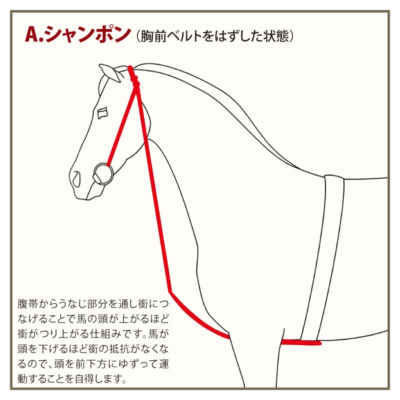 JEFFRIES�ʥ����ե꡼���� �����ݥ�����å�