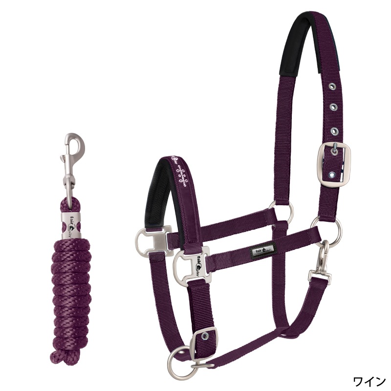 FairPlay�ʥե����ץ쥤�� �ǥ����� ̵���ȼꥻ�å�