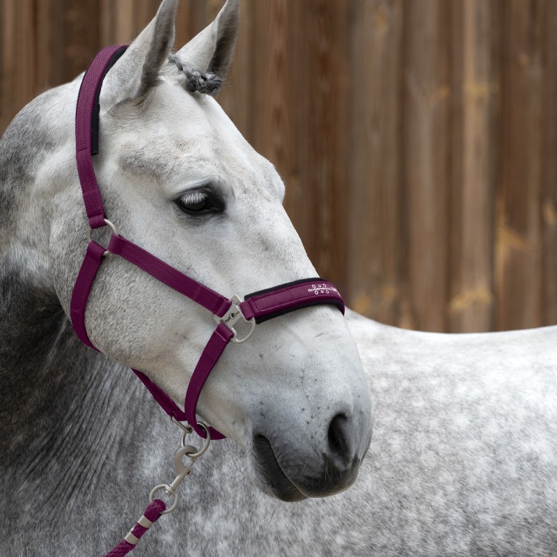 FairPlay�ʥե����ץ쥤�� �ǥ����� ̵���ȼꥻ�å�