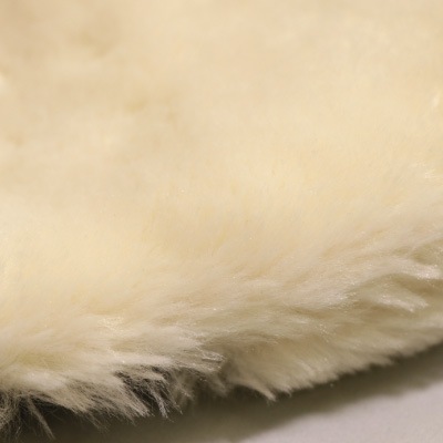 Penelope�ʥڥͥ��ڡ� ���롼�ߥ󥰥�������