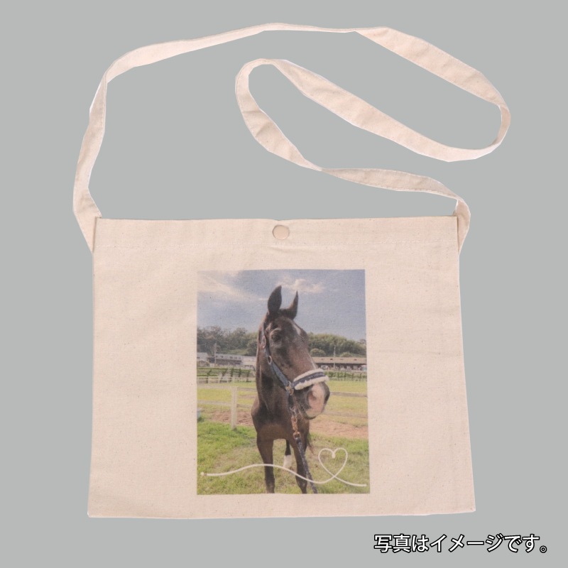 Myfavorite�ץ��� �����å���