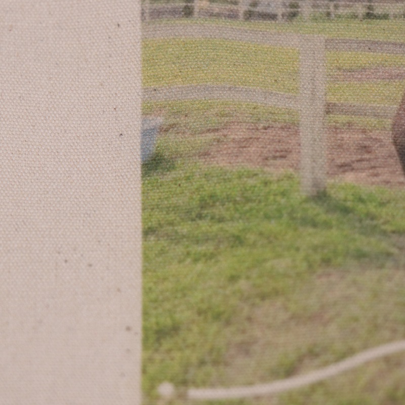 Myfavorite�ץ��� �����å���