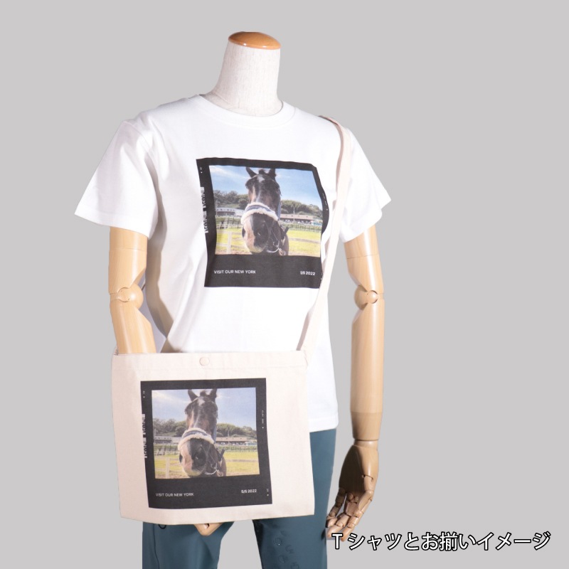 Myfavorite�ץ��� �����å���