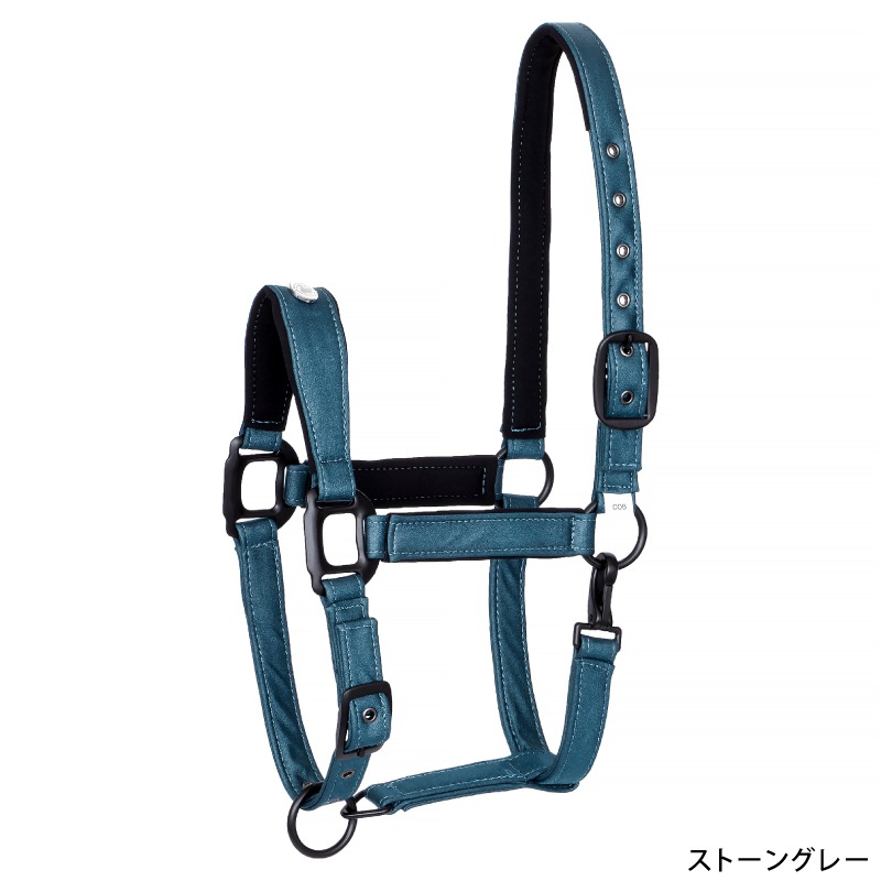 Equestrian Queen�ʥ��������ȥꥢ�󥯥������ ����ȥ��åȥ���� ̵��