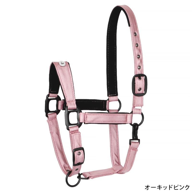 Equestrian Queen�ʥ��������ȥꥢ�󥯥������ ����ȥ��åȥ���� ̵��