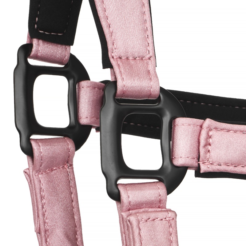 Equestrian Queen�ʥ��������ȥꥢ�󥯥������ ����ȥ��åȥ���� ̵��