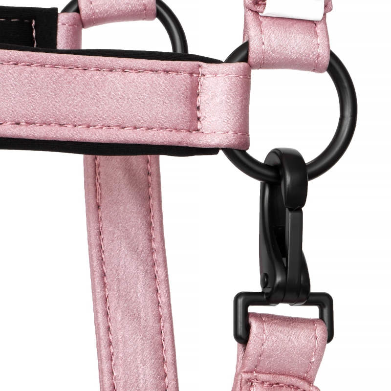 Equestrian Queen�ʥ��������ȥꥢ�󥯥������ ����ȥ��åȥ���� ̵��
