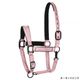 Equestrian Queen�ʥ��������ȥꥢ�󥯥������ ����ȥ��åȥ���� ̵��