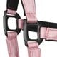 Equestrian Queen�ʥ��������ȥꥢ�󥯥������ ����ȥ��åȥ���� ̵��
