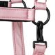 Equestrian Queen�ʥ��������ȥꥢ�󥯥������ ����ȥ��åȥ���� ̵��