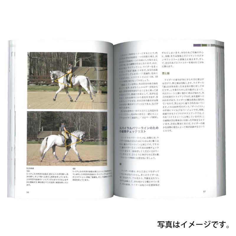 �ɥ�å������塦�����ʥߥ�����-�դ��Ĥ��ع����а����ǹ�νִ�-