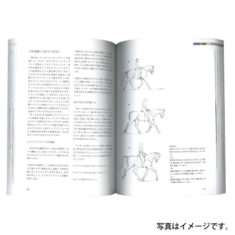 �ɥ�å������塦�����ʥߥ�����-�դ��Ĥ��ع����а����ǹ�νִ�-