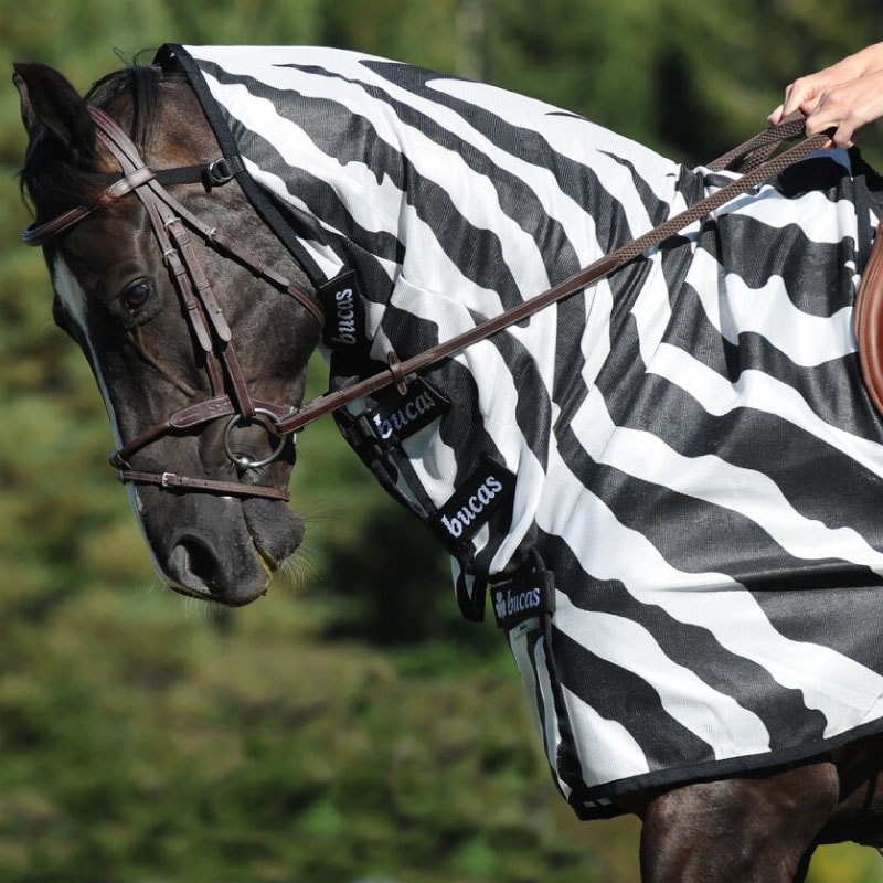 Bucas�ʥӥ塼������ �饤�ǥ��󥰥饰 ���֥�