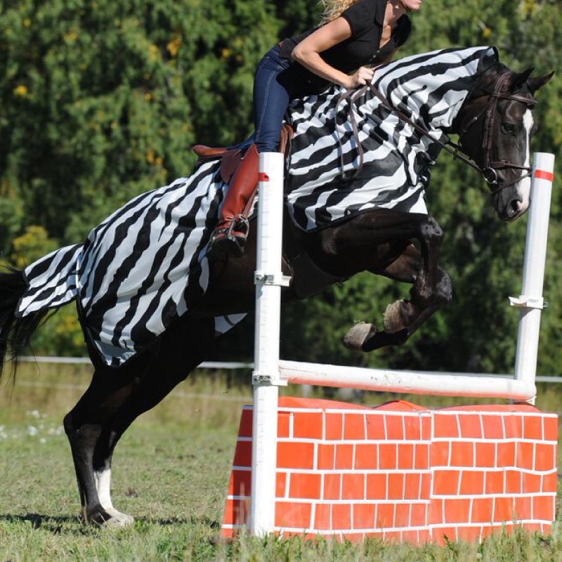 Bucas�ʥӥ塼������ �饤�ǥ��󥰥饰 ���֥�