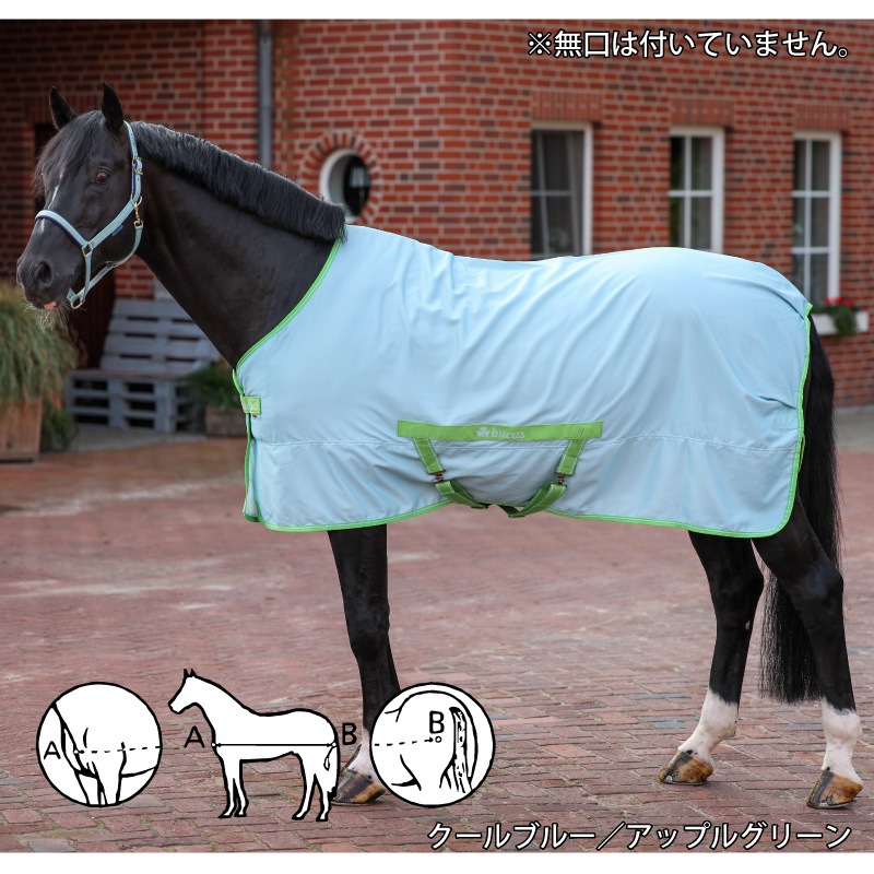 Bucas（ビューカス） フリーダム ツイルシート 