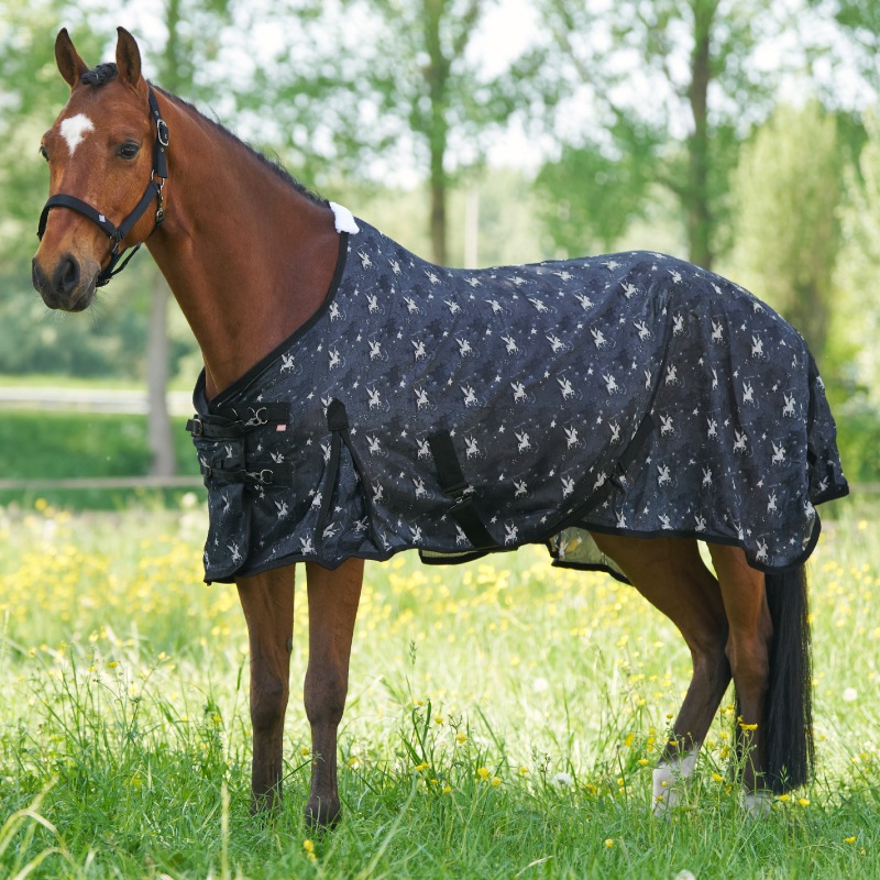 IMPERIAL RIDING�ʥ���ڥꥢ��饤�ǥ��󥰡˥����꡼���ե饤������