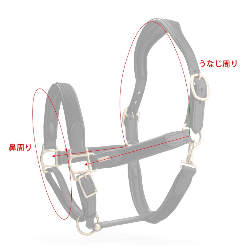 Mrs. Ros�ʥߥ��������� �ǥ�å��� �쥶��̵��