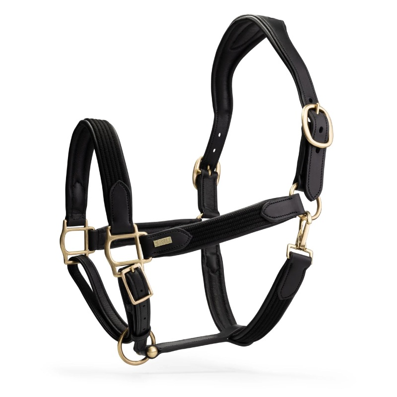 Mrs. Ros�ʥߥ��������� �ǥ�å��� �쥶��̵��