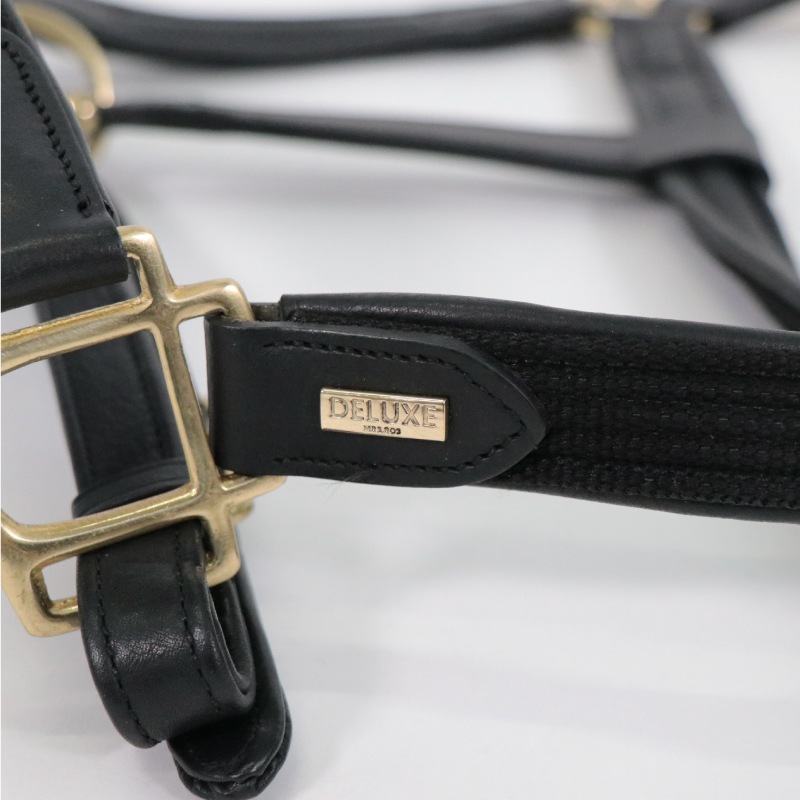 Mrs. Ros�ʥߥ��������� �ǥ�å��� �쥶��̵��