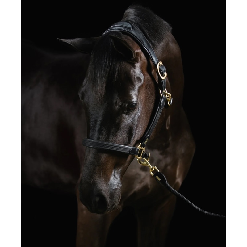 Mrs. Ros�ʥߥ��������� �ǥ�å��� �쥶��̵��