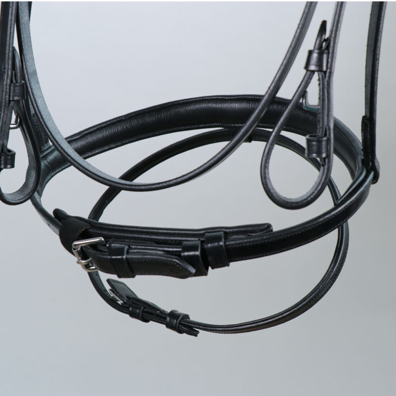 SCHOCKEMOHLE�ʥ���å��ߥ塼��� ������ ����Ƭ��