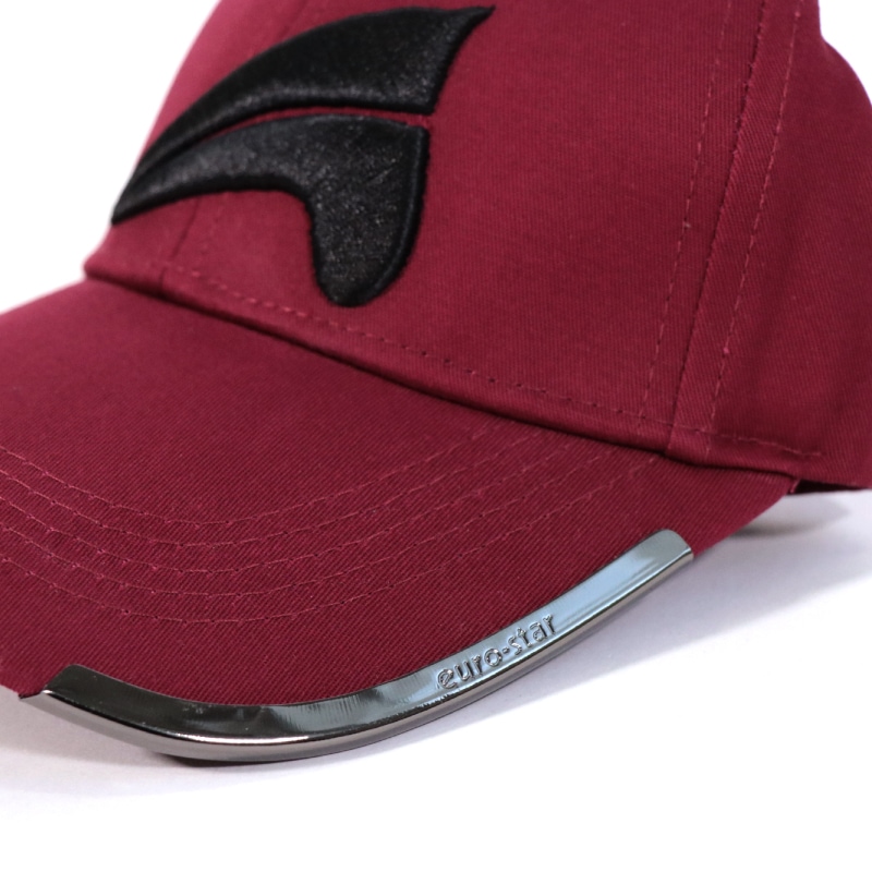 EURO-STAR�ʥ桼���������� ������ ����å�