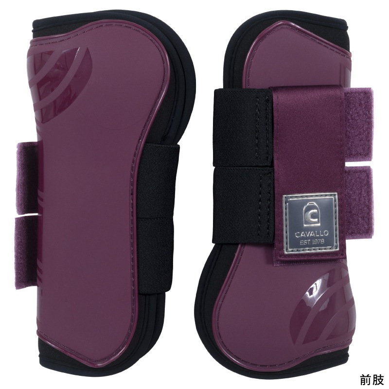 CAVALLOʥХ˥ۥ֡ĥå