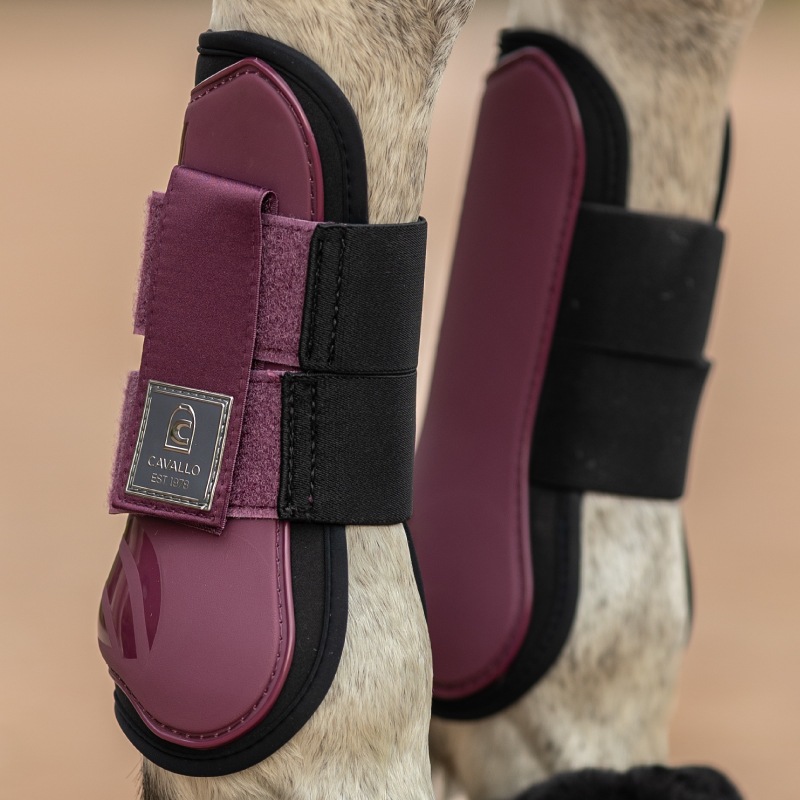 CAVALLOʥХ˥ۥ֡ĥå