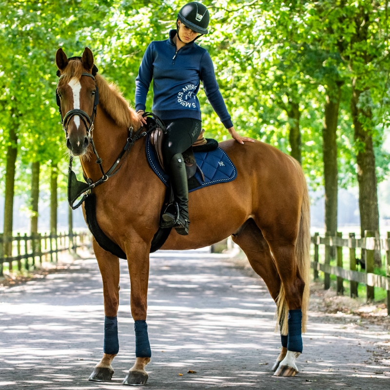 ڿեMrs. Rosʥߥ ݥɥ å ǥ