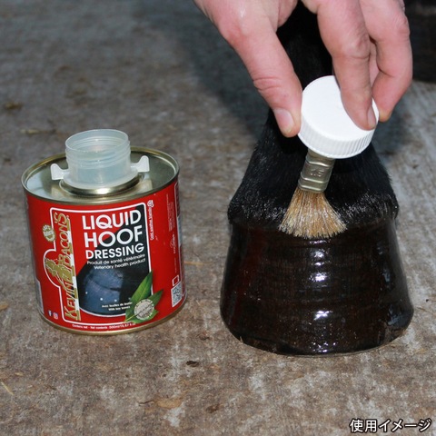 KEVIN BACON��S�ʥ��ӥ�١������ �ա��եɥ�å��� ���� 500ml