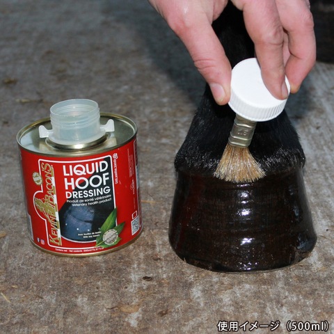 KEVIN BACONSʥӥ١ աեɥå  1L