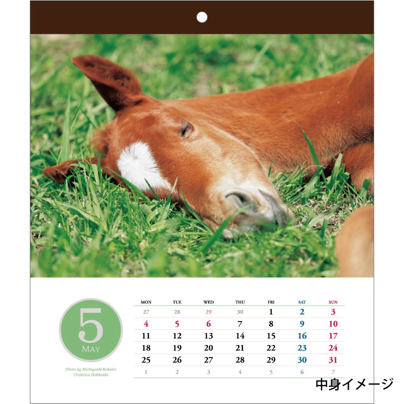 ۡޥ󥫥 塼ȥ쥯2026ǯ