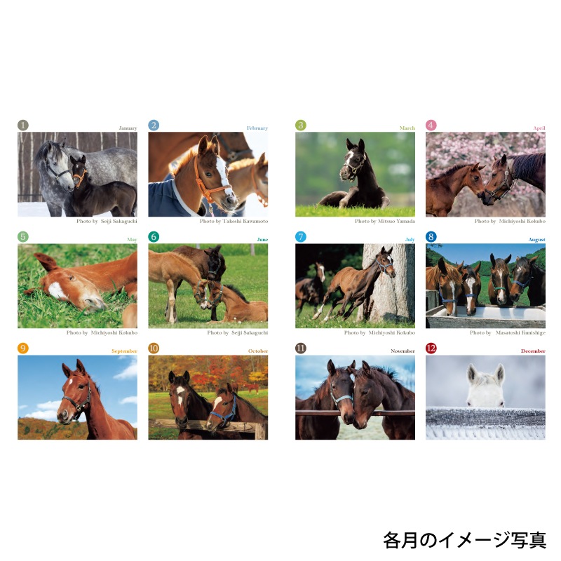 ۡޥ󥫥 塼ȥ쥯2026ǯ