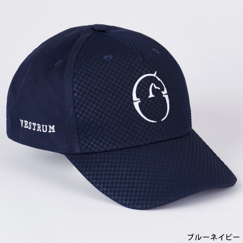 �ڿ���ե�����VESTRUM�ʥ������ȥ��� ���å顼�� ����å�