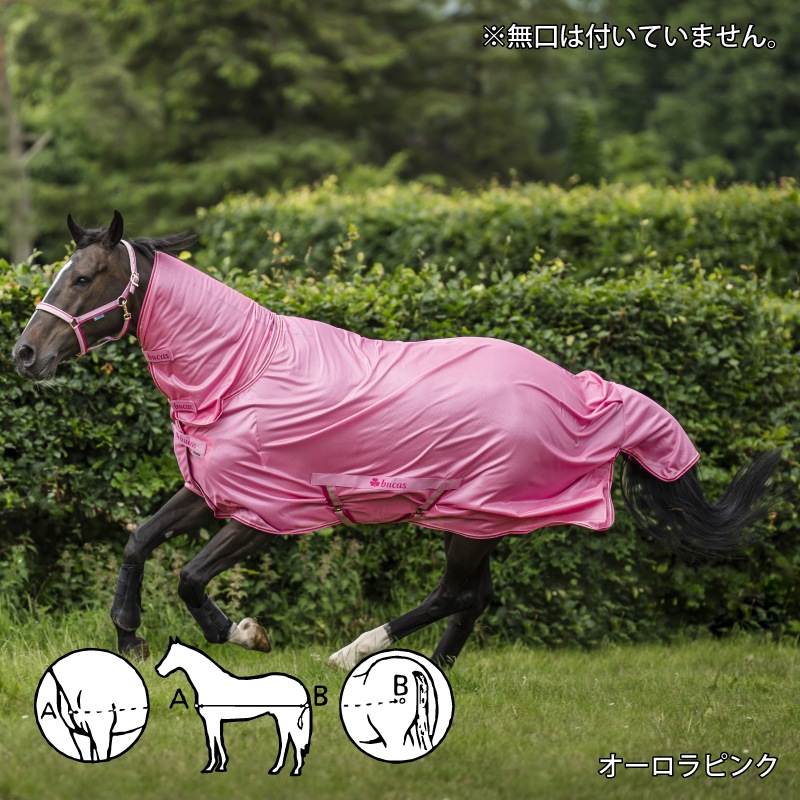 �ڿ���ե�����Bucas�ʥӥ塼������ �ե꡼���� �ե饤������ �ե�ͥå�