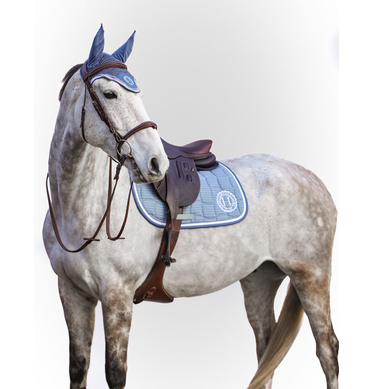 ڥȥåоݾ 30HARCOURʥ  å䡼ͥåȥå