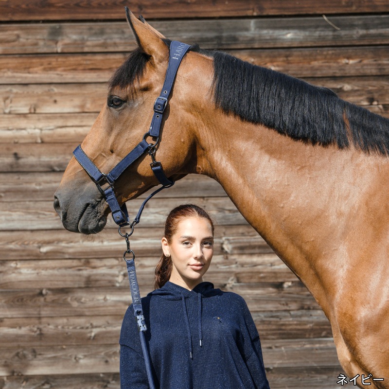 新作フェア】HARCOUR（アークア） ハンジー 無口＆曳手セット