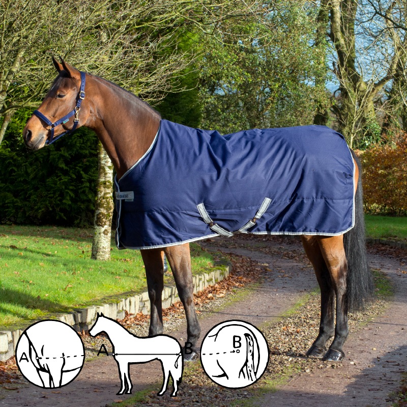 Bucasʥӥ塼 ե꡼ॹơ֥롡300g