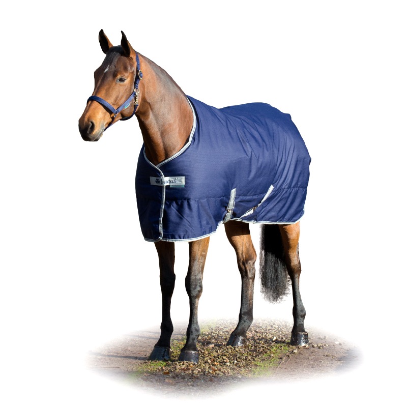 Bucasʥӥ塼 ե꡼ॹơ֥롡300g