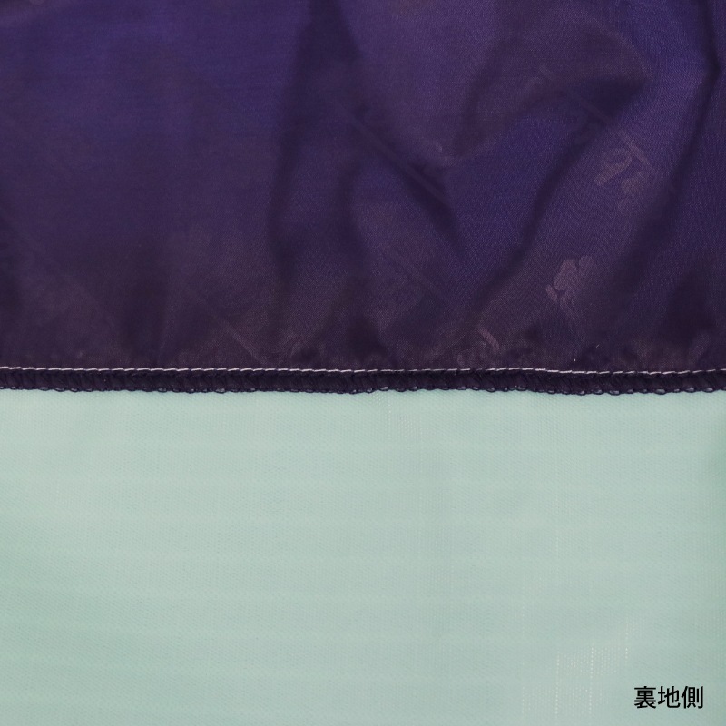 �ڿ���ե�����Bucas�ʥӥ塼������ �ե꡼���� �����󥢥��� �饤��