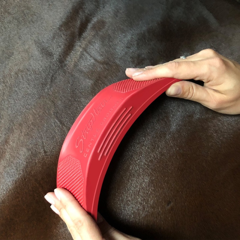 ���ȥ�åץإ� GG ���󥷥ƥ���