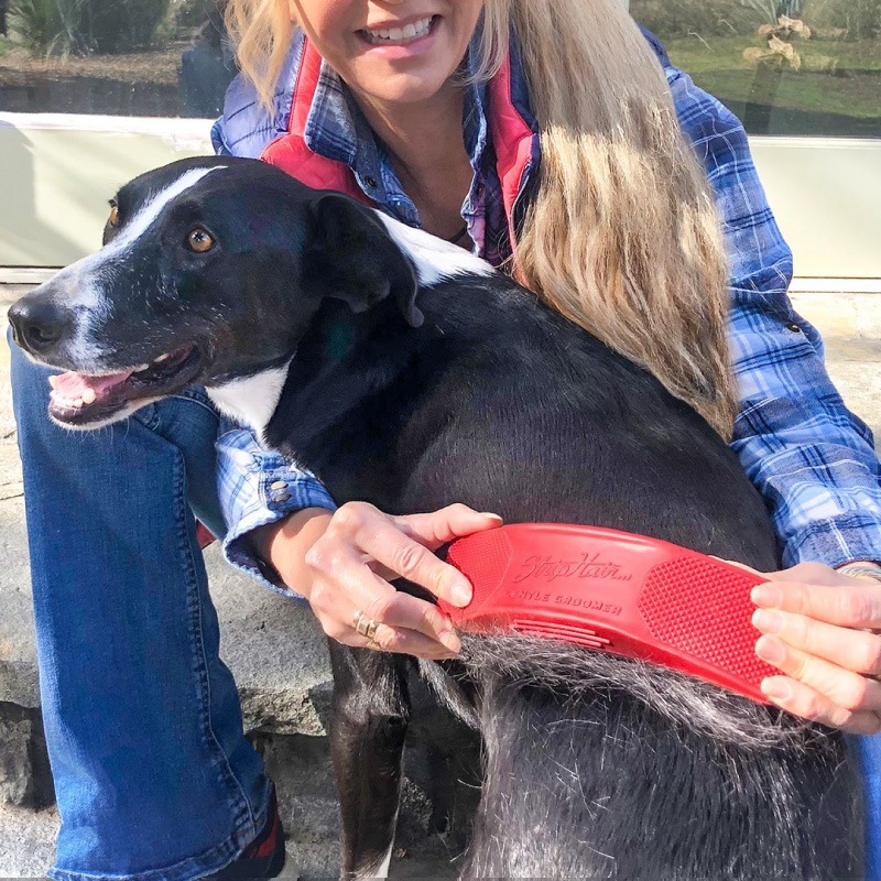 ���ȥ�åץإ� GG ���󥷥ƥ���