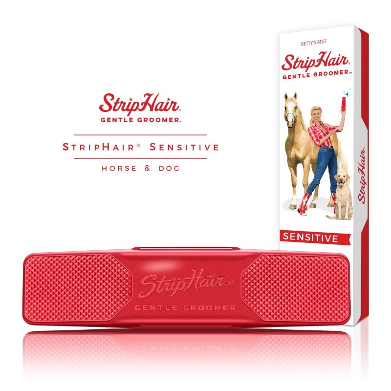 ���ȥ�åץإ� GG ���󥷥ƥ���