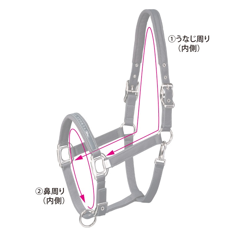 SCHOCKEMOHLEʥåߥ塼 ե ۥ륿